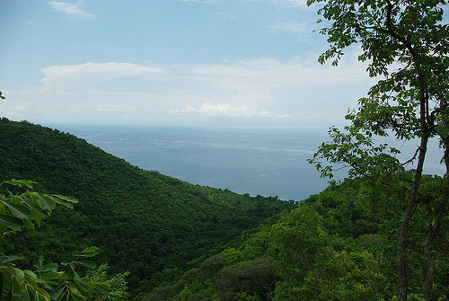 Gombe Stream National Park